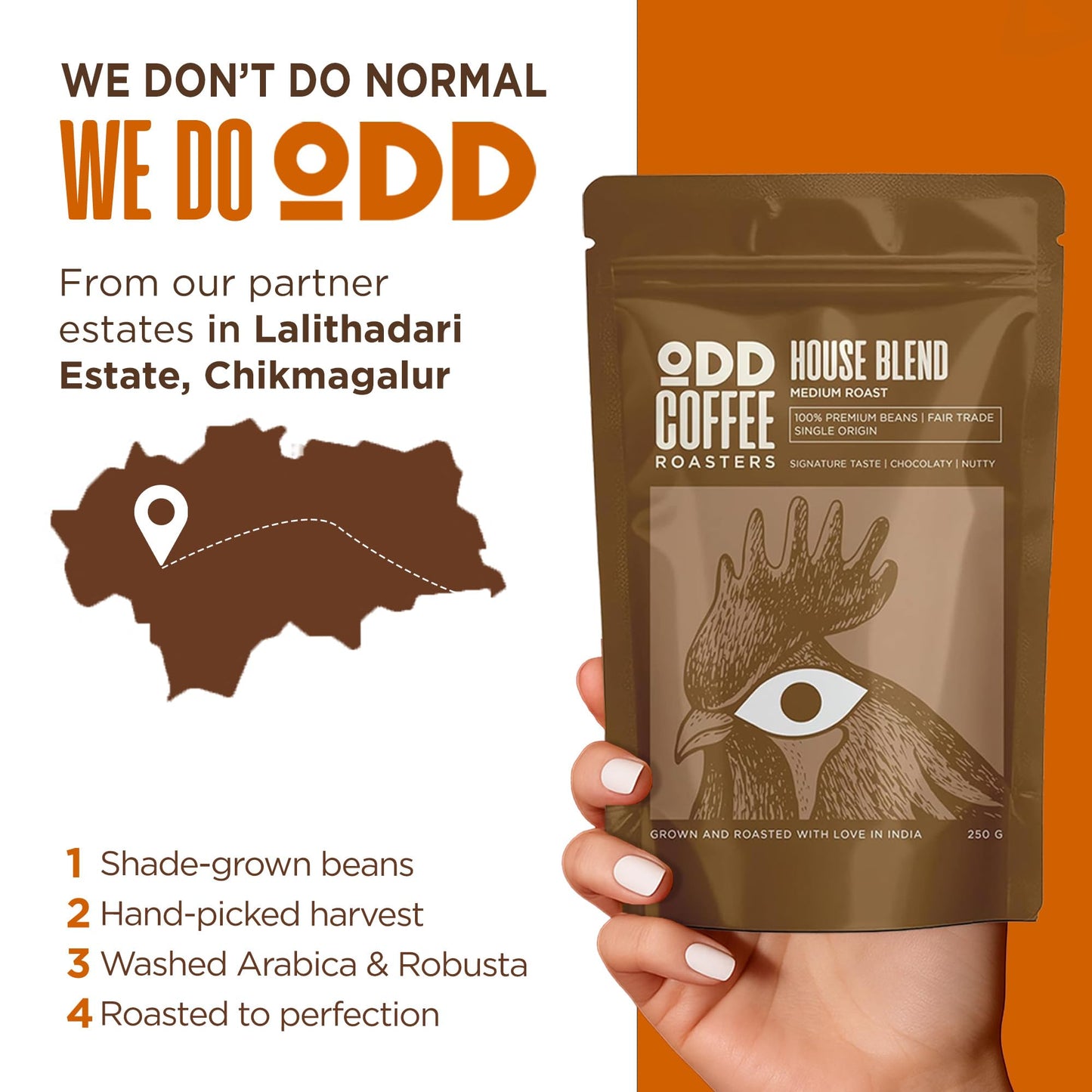 ODD COFFEE ROASTERS House Blend 60% Arabica 40% Robusta Roasted Coffee Powder 250 Gram Medium Roast | AAA Grade Specialty Beans | Chocolaty Nutty | Single Origin Ground Coffee Powder for Cold Brew