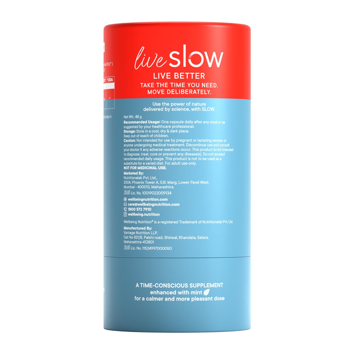 WELLBEING NUTRITION Slow Cholesterol Control With Clinically Proven Corowise & Vegapure®| Plant Sterols | Triglycerides Support| Maintains Healthy Lipid Profile | Supports Heart Health | 60 Capsules