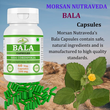 Bala Capsules (Sida Cordifolia Extract) 500mg – Ayurvedic Herbal Capsules for Strength & Vitality, 60 Vegan