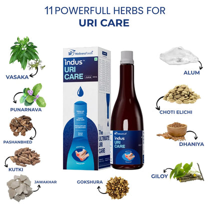 Indus Uri Care Herbal Uric Acid Support Juice 500 ML | Helps Maintain Uric Acid Balance & Joint Comfort | Ayurvedic Wellness Formula