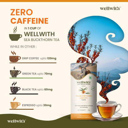 Wellwith by Ayuzera Sea Buckthorn Raw Leaves Tea, Good For Skin and Immunity, For a Healthy Lifestyle - Himalayan Seabuckthorn Herbal Leaf Tea - Pure & Natural (50g)