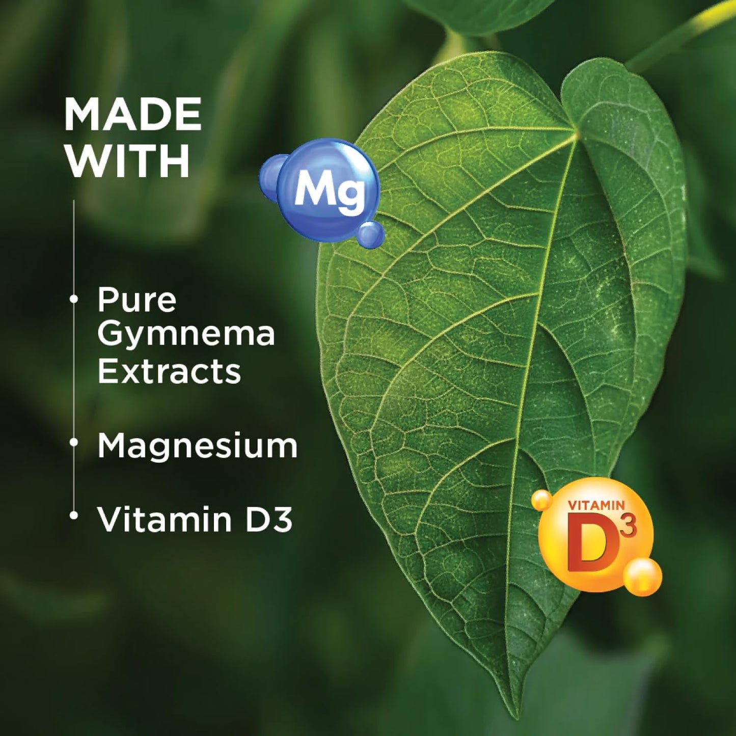 Natxtra Gymne-Mag D | Gymnema Sylvestre (Natural Gurmar leaves) + Magne- image 8