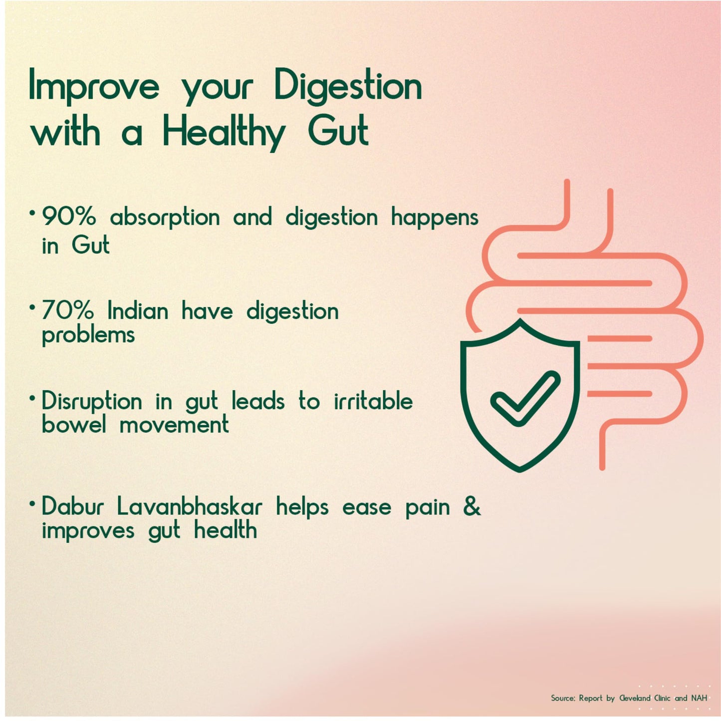 Dabur Lavan Bhaskar Churna - 500 g- image 7