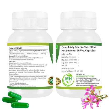 MORSAN HEALTHCARE | Kanchnar Capsules 500mg – 60 Count | Vegetarian | Plant-Based | Herbal Supplement | No Artificial Additives | Gluten-Free | Organic | (pack of 2)