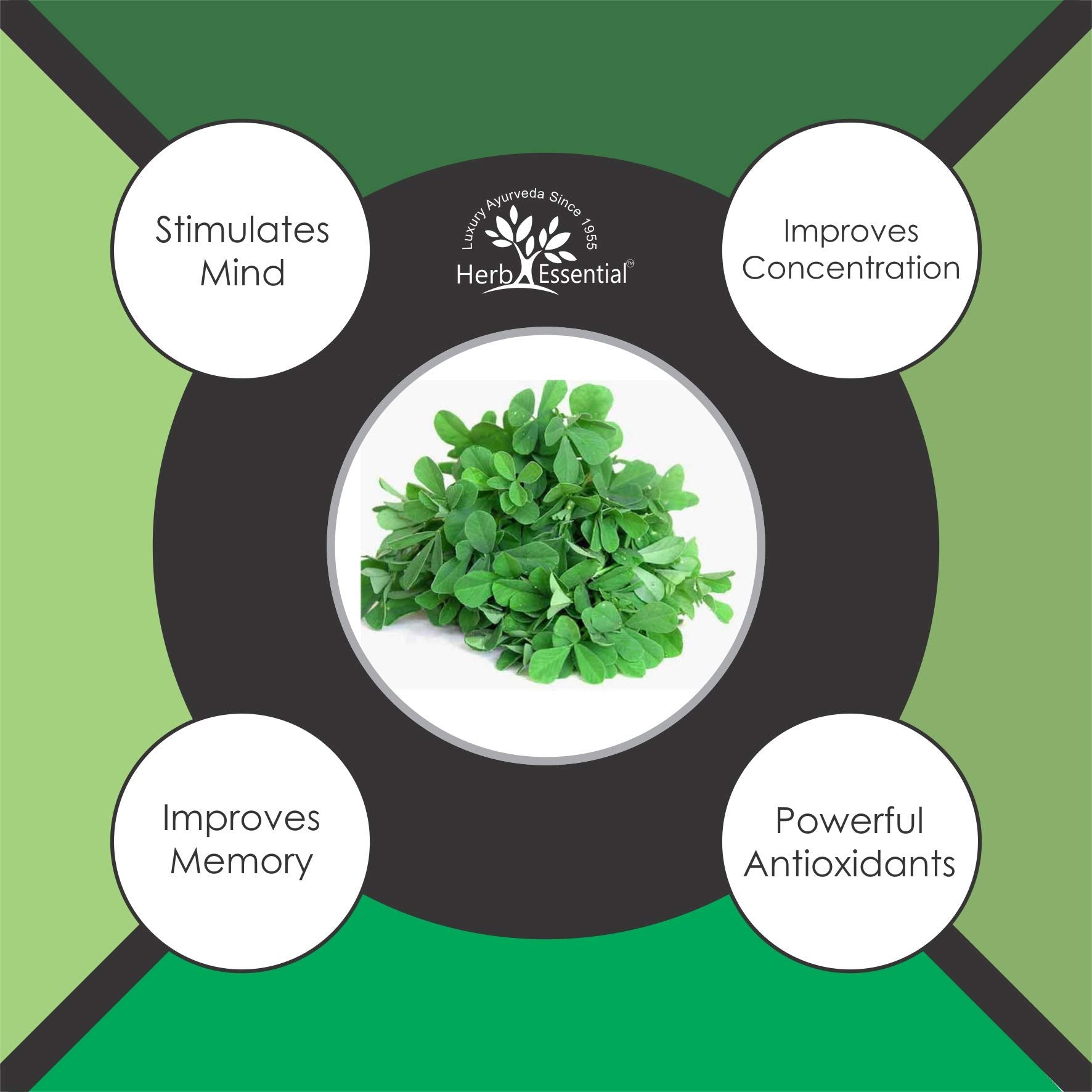 Herb Essential Pure Brahmi Powder - 50 G- image 3