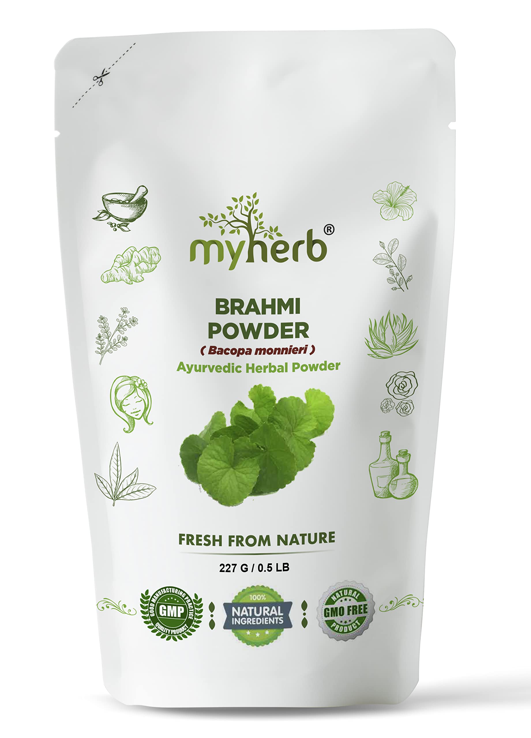 MYHERB Pure Natural 100% Organic Brahmi (Bacopa Monnieri) Powder || 227 Gm/0.5 L