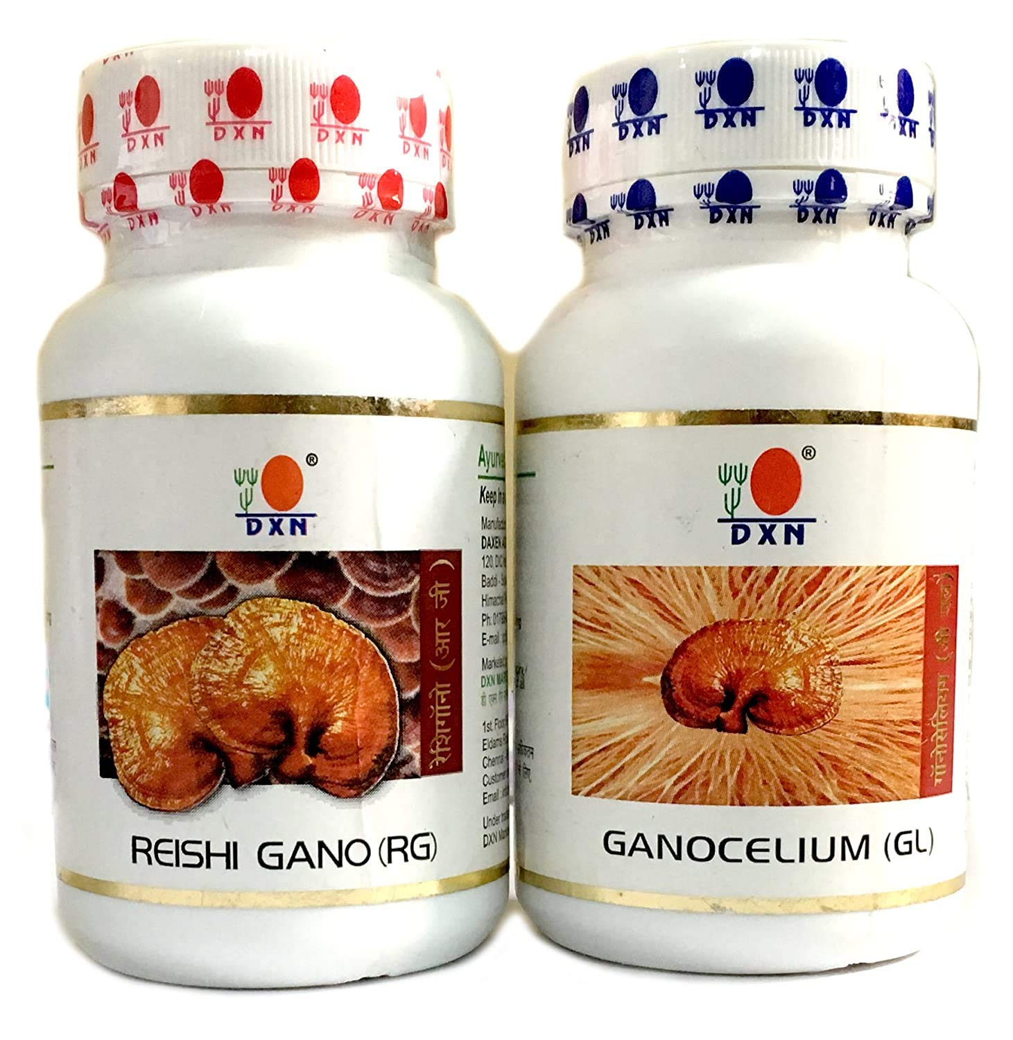 DXN PEP SOLUTION Reishi Gano And Ganocelium Capsules - Rg & Gl (90 + 90 Capsules