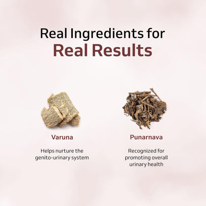 Purely Yours Prost Plus for Men – Ayurvedic Prostate Care Capsules for- image 5