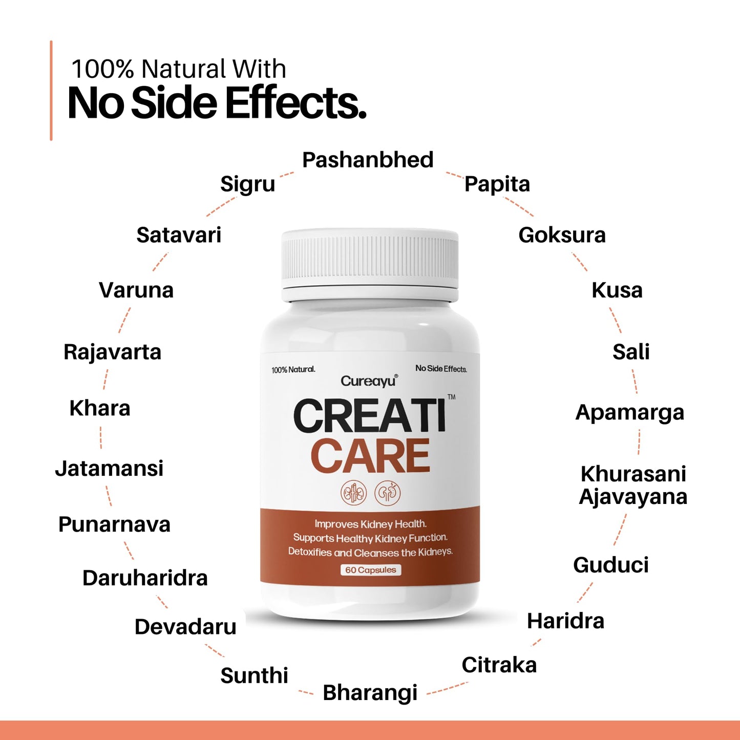 Cureayu CreatiCare™ Capsules – Herbal Supplement with Punarnava, Gokhru & Varuna | Supports Renal Wellness & Fluid Balance | 60 Veg Capsules