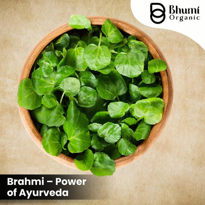 Bhumi Organic Natural Brahmi Powder, 200g, Bacopa Monnieri, Brain Tonic- image 8