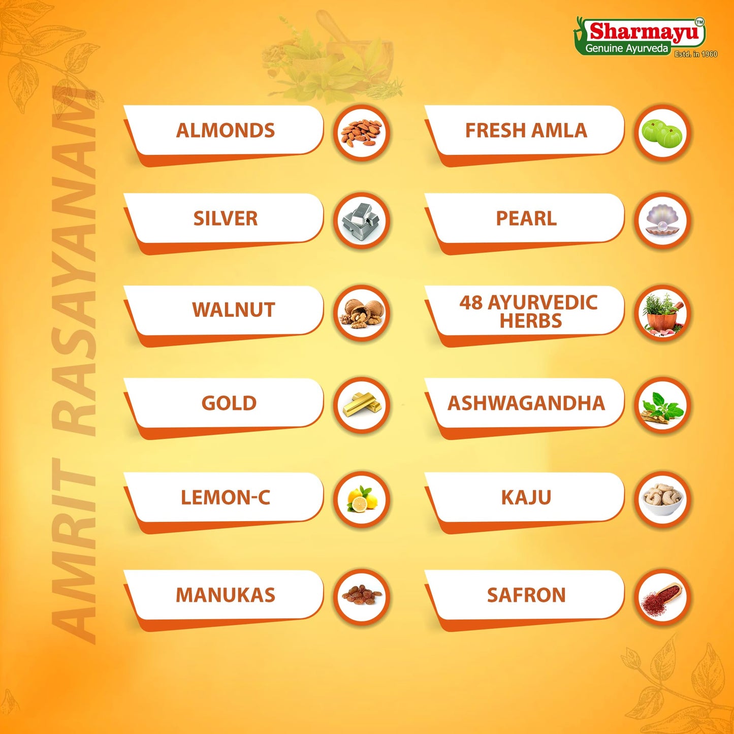 Sharmayu Suwarna Amrit Rasayanam 500 gm | Ayurvedic Herbal Supplement w- image 3