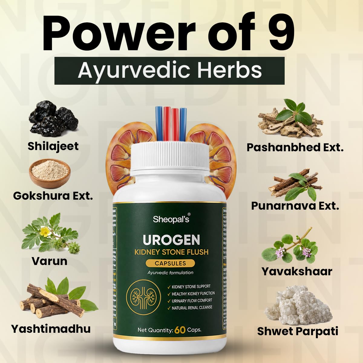 Sheopal's Urogen Kidney Stone Flush Capsules | Ayurvedic Proprietary Medicine | Pashanbhed, Gokshura, Punarnava, Varun, Shilajit | Urinary Comfort & Natural Renal Cleanse | 60 Caps