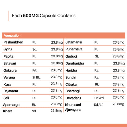 Cureayu CreatiCare™ Capsules – Herbal Supplement with Punarnava, Gokhru & Varuna | Supports Renal Wellness & Fluid Balance | 60 Veg Capsules