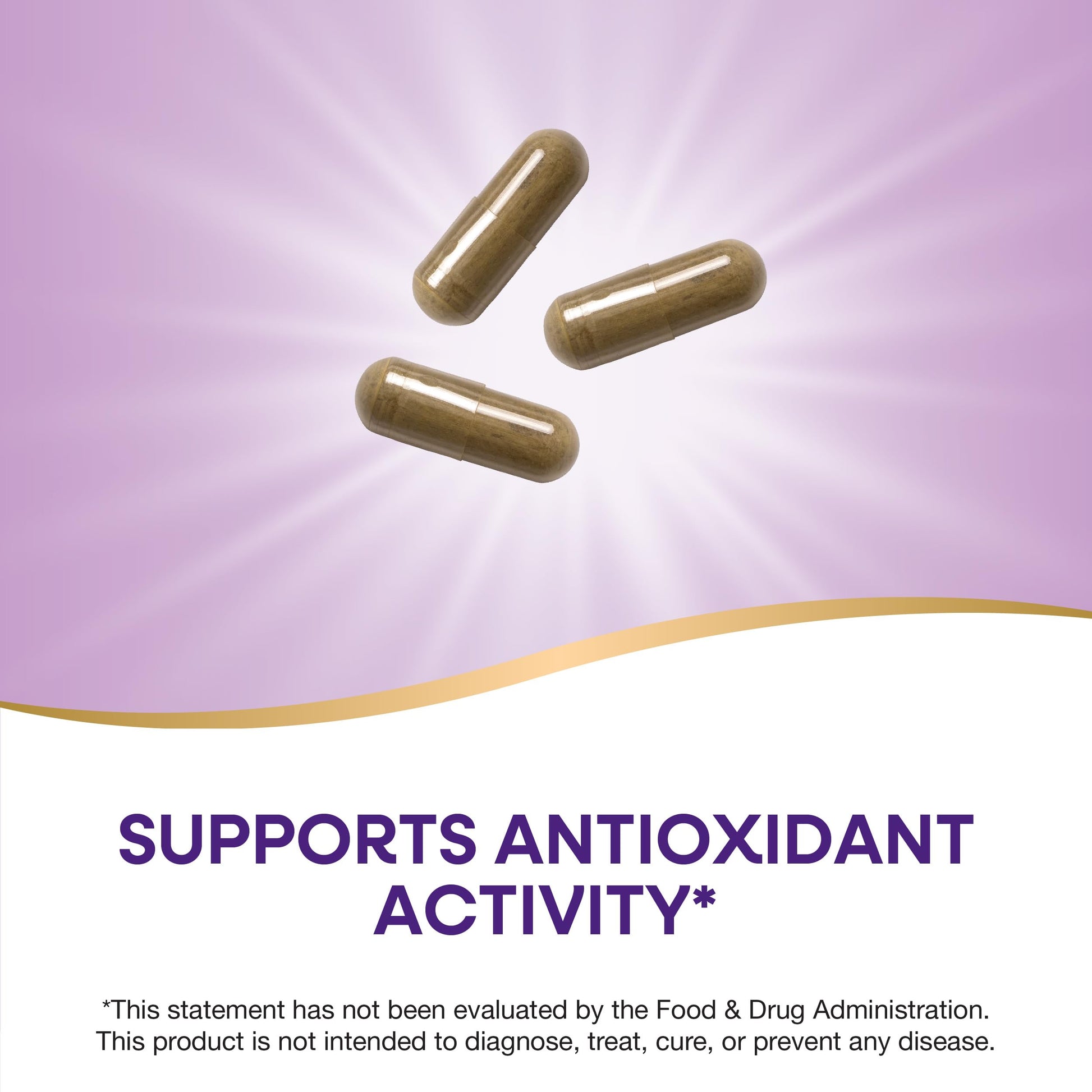 Nature's Way Olive Leaf, 100 Veg Capsules- image 4