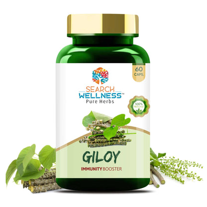 Search Wellness Ayurvedic Giloy (Guduchi) 60 Capsules (Pack of 1) | Herbal Giloy Ghanvati| for Blood Purification | Detoxifies The Body | Enhances Strength & Stamina | Natural Immunity Booster