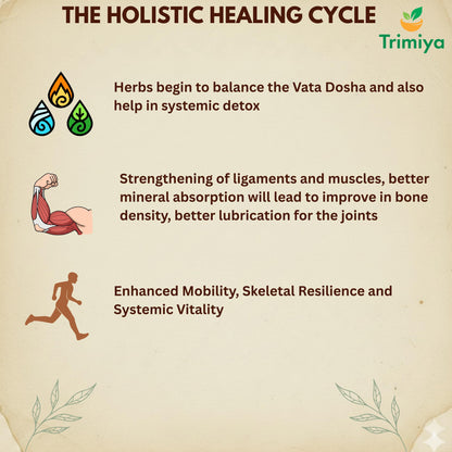 Trimiya OrthoTab Ayurvedic Joint Pain Relief Tablets | With Shallaki, Ashwagandha & Mahayograj Guggul | For Knee, Back & Muscular Pain Relief | Enhances Bone Strength & Flexibility | 60 Tablets