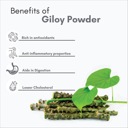 Smart Organics Giloy Powder 100gm | Immunity Booster | Pure & Natural Ayurvedic Herbal Supplement | Supports Respiratory Health & Digestion