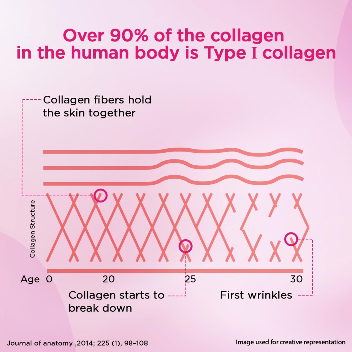 Siens By Dabur Hydrolyzed Marine Collagen-100g | Made with Japanese technology | Supplement for Women | For Skin Radiance & Hydration | Blueberry Lavender Flavour, Powder