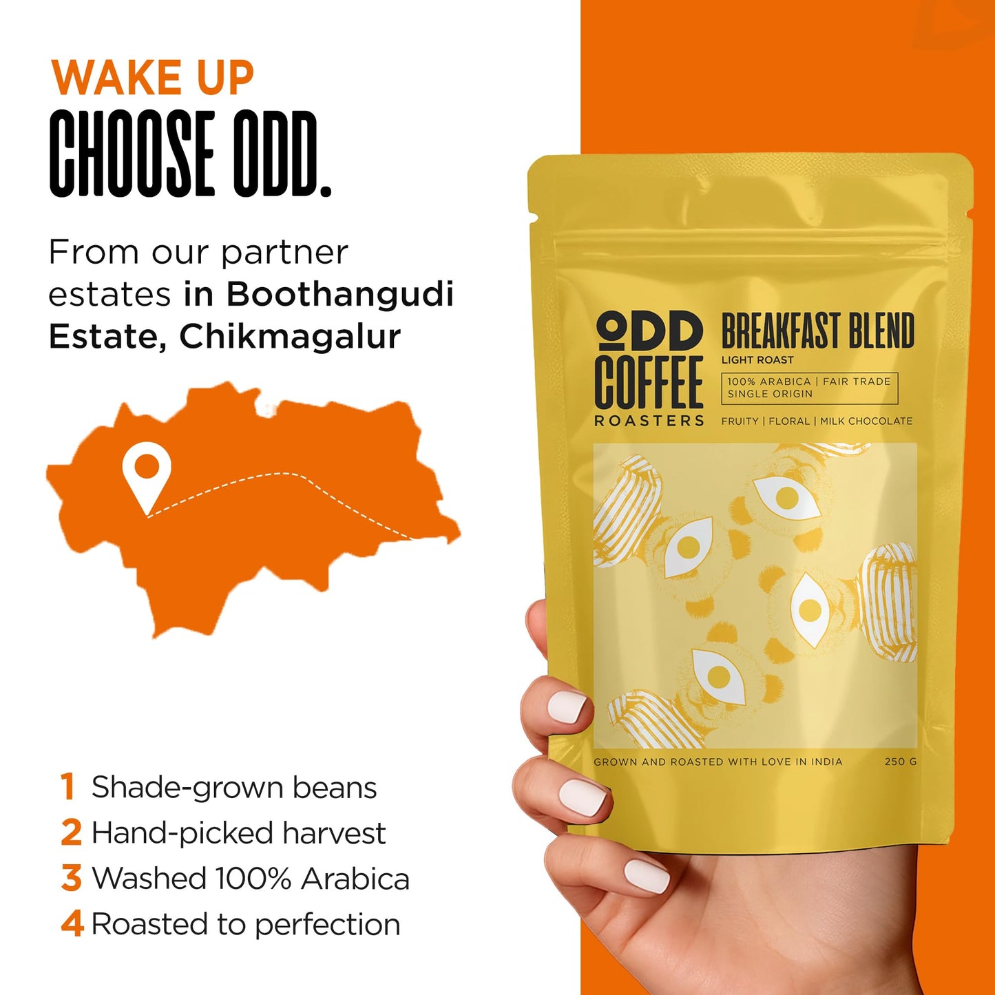 ODD COFFEE ROASTERS 100% Arabica Coffee Fruity, Floral And Milk Chocolate Breakfast Blend Coffee Powder For French Press 250 Gram AAA Beans