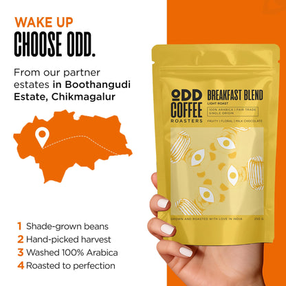 ODD COFFEE ROASTERS 100% Arabica Coffee Fruity, Floral And Milk Chocolate Breakfast Blend Coffee Powder For French Press 250 Gram AAA Beans