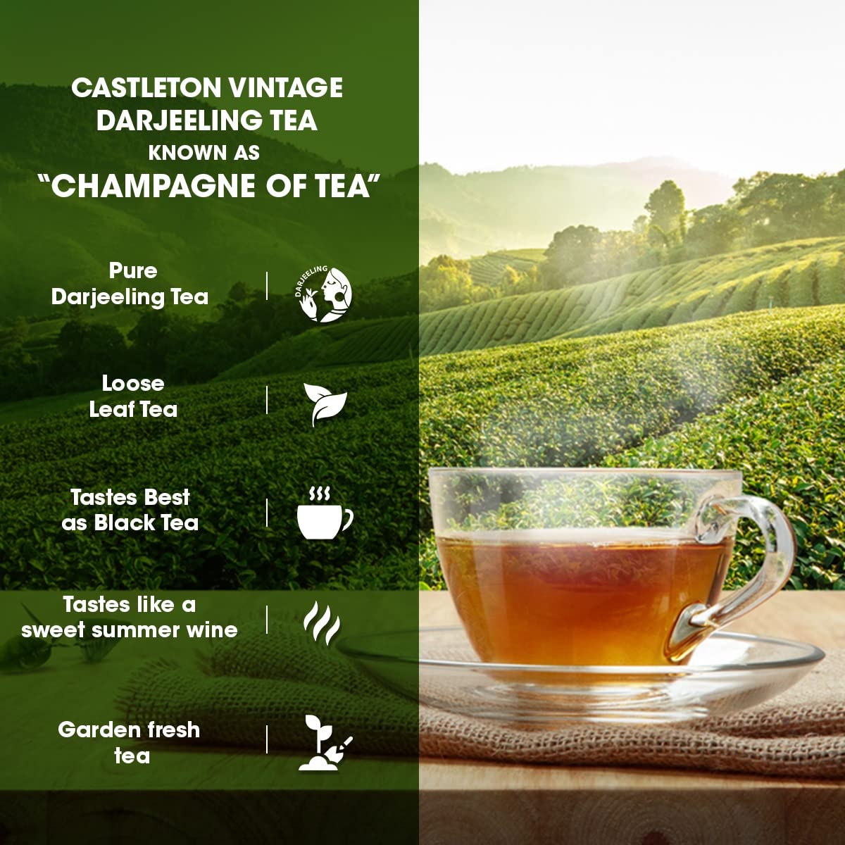 GOODRICKE Castleton Vintage Darjeeling Tea - 250gm (Pack of 1) | Single Estate Whole Leaf | 100% Loose Leaves | Premium Black Tea with Rich Taste & Aroma