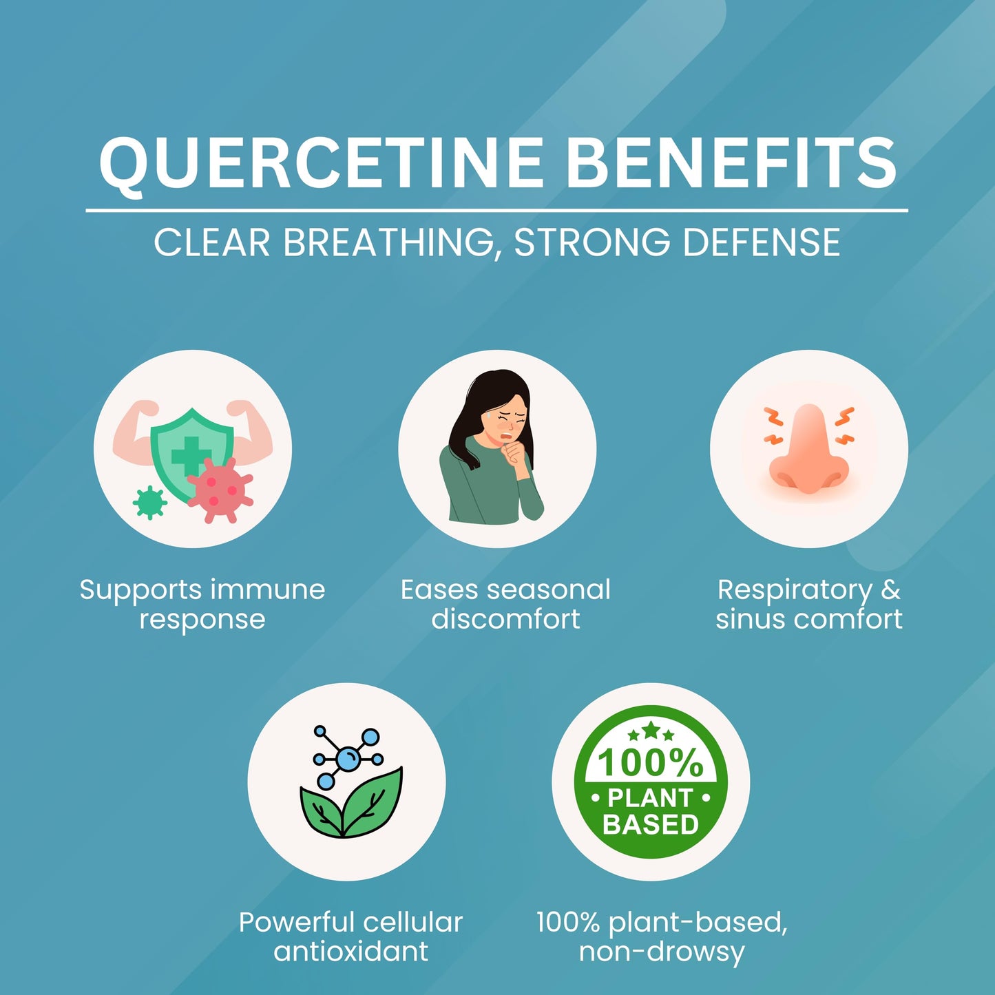 Eternell Quercetin 400mg (Sophora Japonica Extract) – Ayurvedic Natural Antioxidant Supplement for Men & Women | Supports Immunity, Heart & Respiratory Health | 60 Veg Capsules