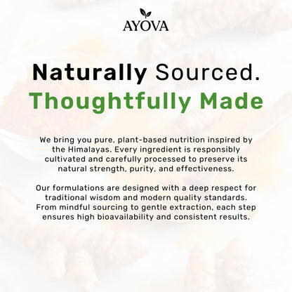 Ayova Curcumin Tablet with Garlic Extract and Black Pepper, Sugar-Free -500mg | Supports Joint Health, Inflammation Support & Immunity | Plant-Based Anti-Inflammatory Supplement for Men & Women | 30 Tablet