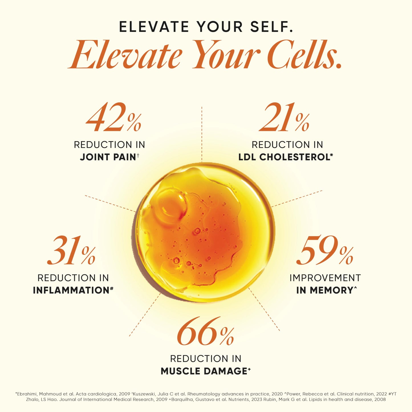 Wellbeing Nutrition Slow 3x Strength Omega 3 Fish Oil Capsules | 1500mg with EPA 612mg, DHA 408mg & Curcumin for Men & Women | No Fishy Burp | For Brain, Heart, & Joint Health, 60 Softgels