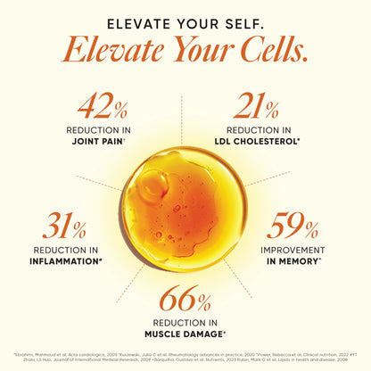 Wellbeing Nutrition Slow 3x Strength Omega 3 Fish Oil Capsules | 1500mg with EPA 612mg, DHA 408mg & Curcumin for Men & Women | No Fishy Burp | For Brain, Heart, & Joint Health, 60 Softgels