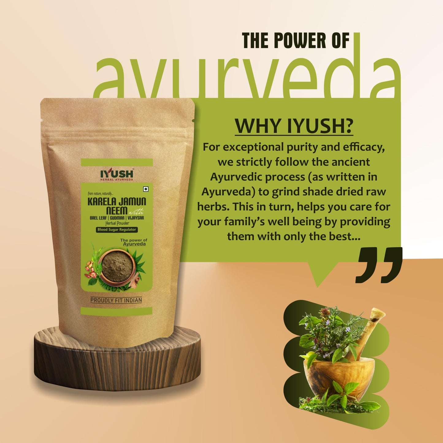 IYUSH Herbal Ayurvedic Karela Jamun Neem Powder with Gudmar, Vijaysar,- image 3