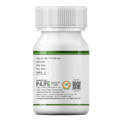 INLIFE Moringa Leaf Extract (10:1) Supplement, 500mg - 60 Veg Capsules- image 4