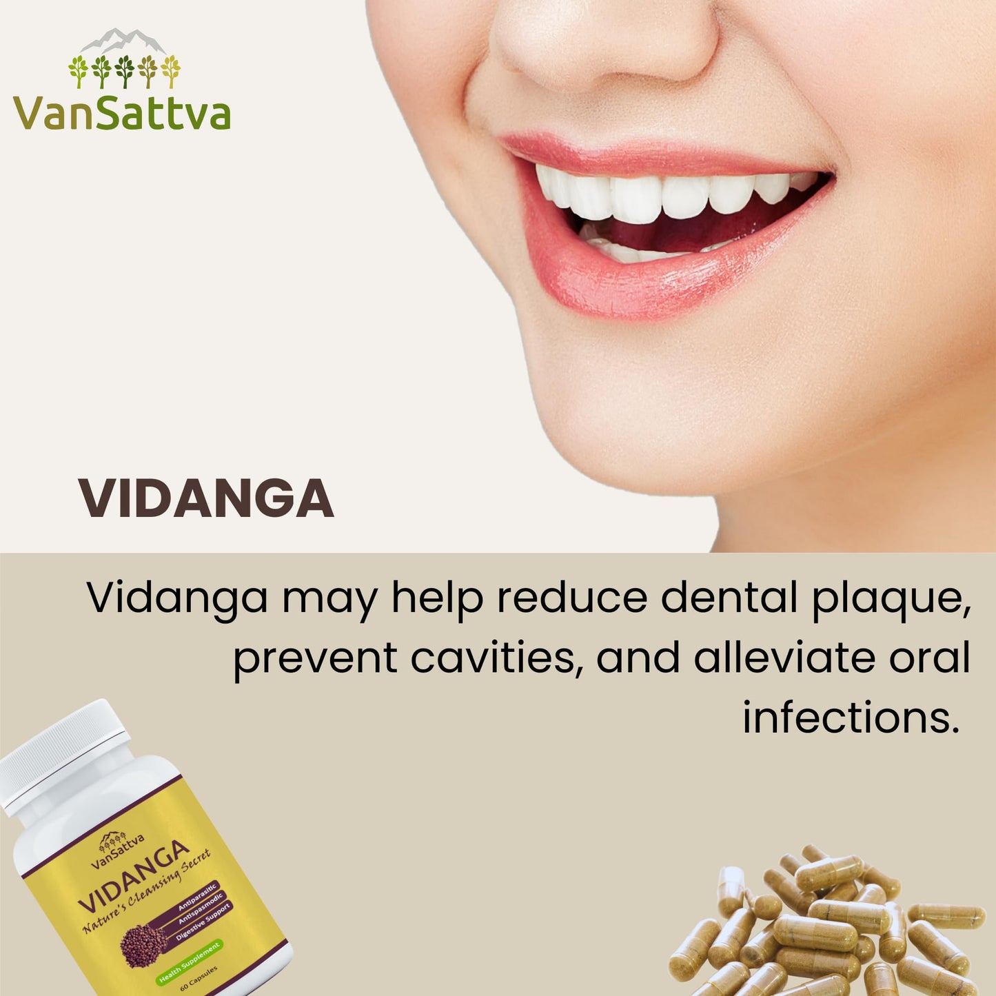 VanSattva Vidanga Capsule – 60 Caps, 650mg each