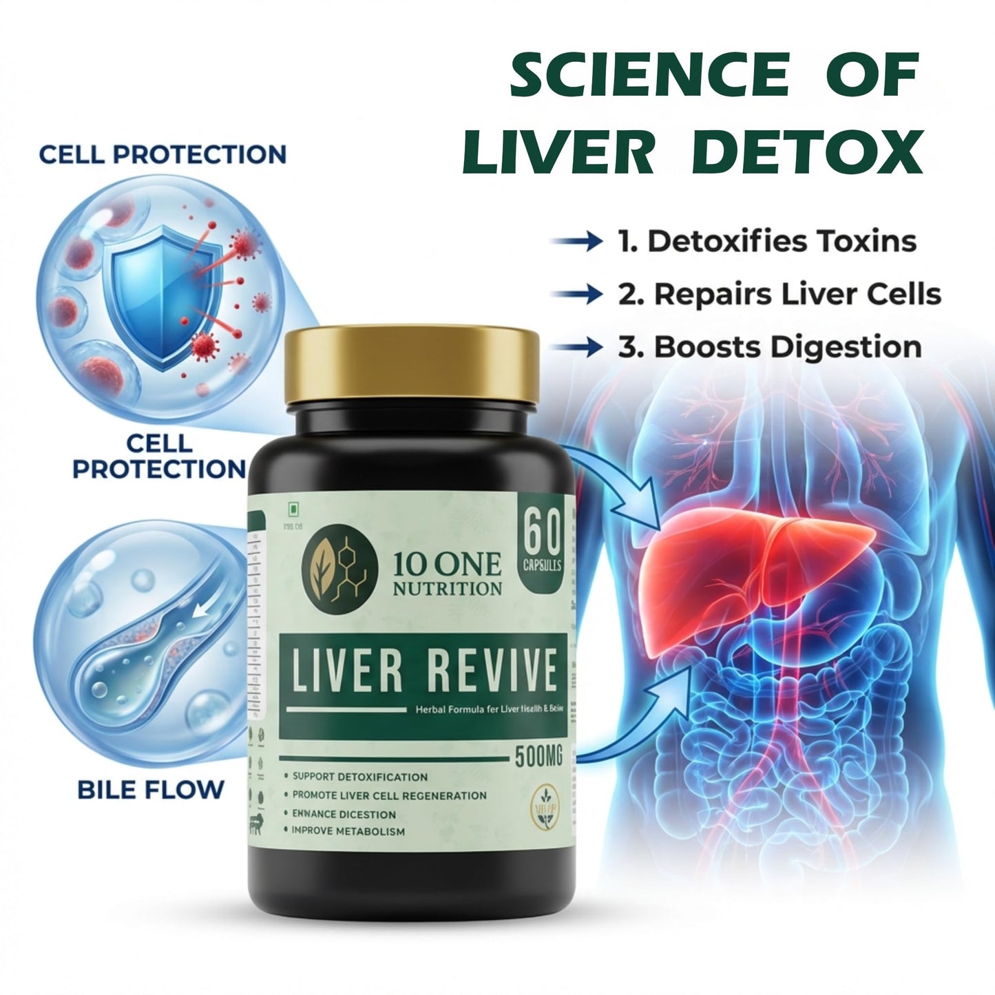 10 One Nutrition Liver Revive Detox 500mg with Kutki, Punarnava & 17 More Herbs | Care Fatty Liver, Digestive Enzymes & Natural Detox Support | 60 Veg Capsules