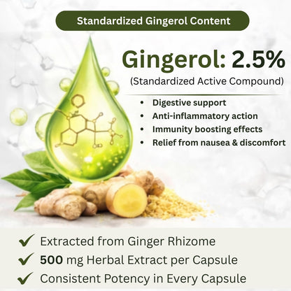 Ayurcaps Saunth (Dry Ginger) 500mg Capsules | 60 Veg Capsules | Ginger Herbal Supplement For Digestive Support, Metabolism Support And Immune Wellness | Plant-based Ayurvedic Formula For Men And Women