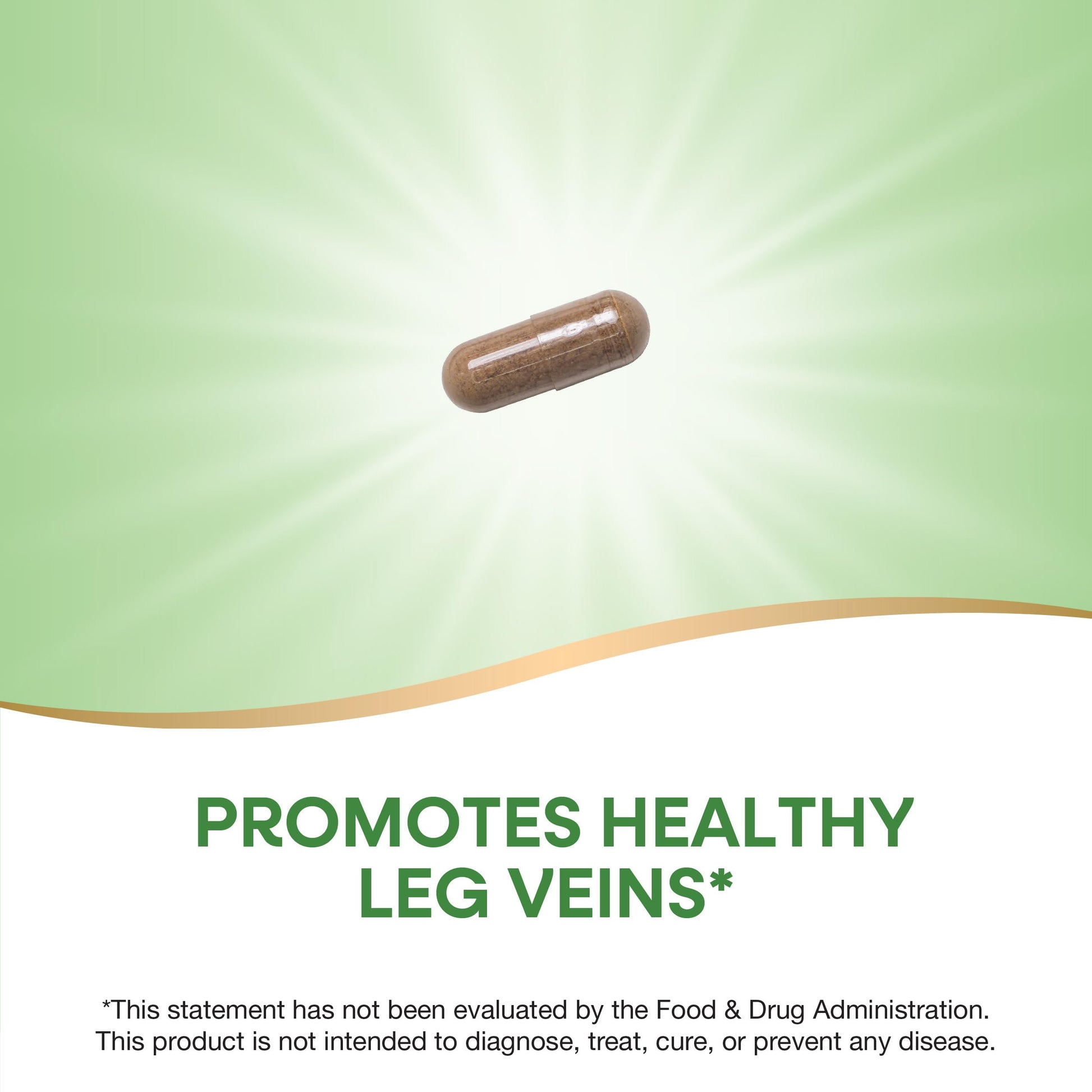 Nature's Way Horsechestnut Standardized Extract- image 6