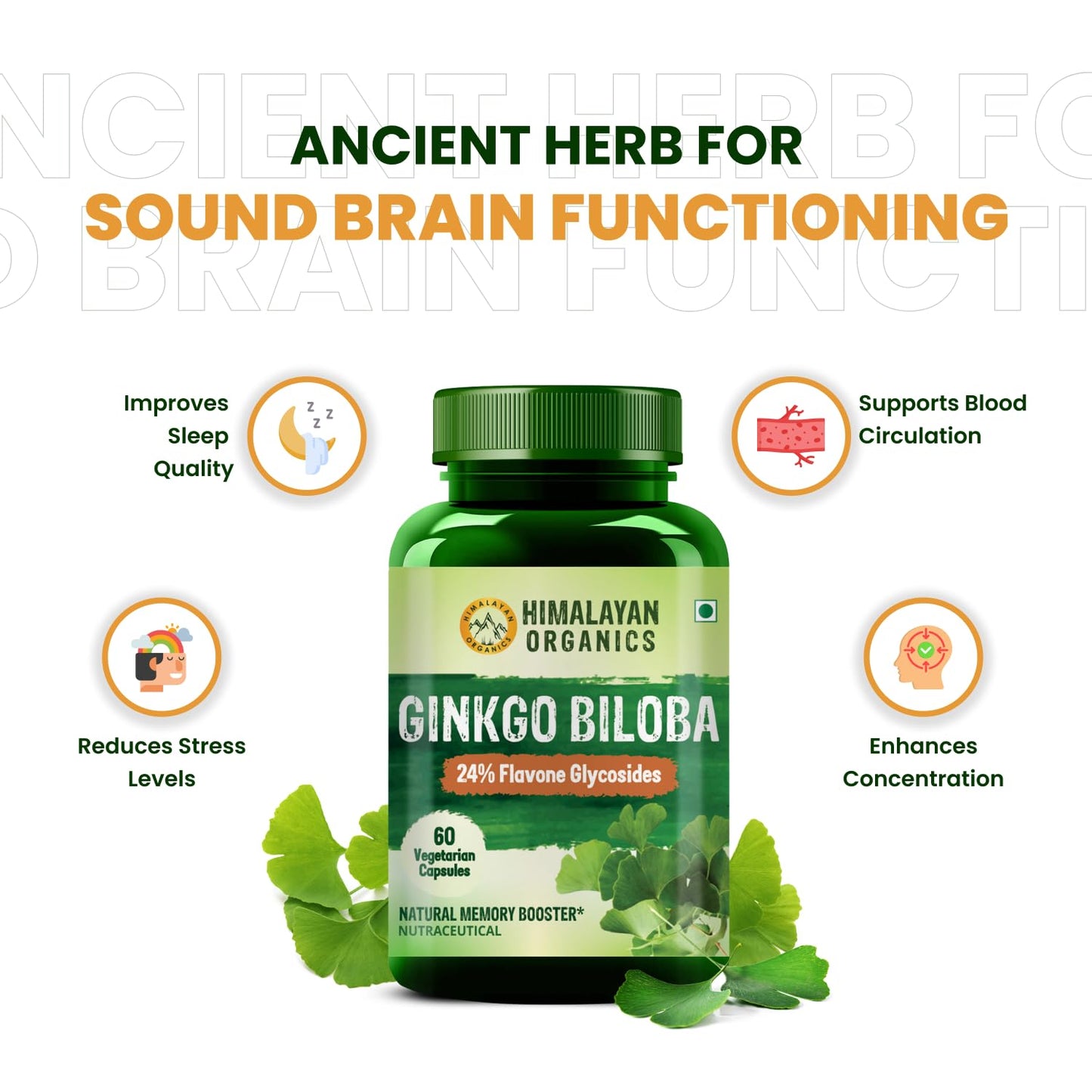 Vlado’s Himalayan Organics Ginkgo Biloba 500mg With Brahmi for Better Concentration, Memory & learning | Helps Anxiety & Stress | Healthy Blood Circulation - 60 Veg Capsules