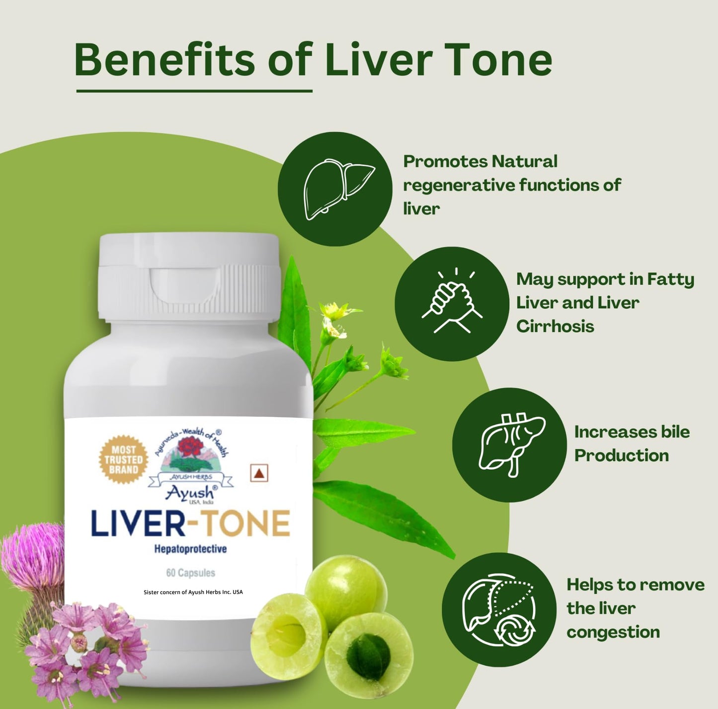 Ayush Herbs Livertone 1 * 60 Caps Brown