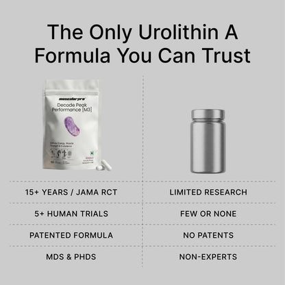 Muscalar Pro M3 Urolithin A 1000mg | Clinically Proven for Muscle Strength & Recovery, Cellular Recovery, and Anti-Aging | with Spermidine & S-Allyl Cysteine for Healthy Aging, Longevity, & Cellular Wellness | Mitoceutical Supplement for Men and Women | 6