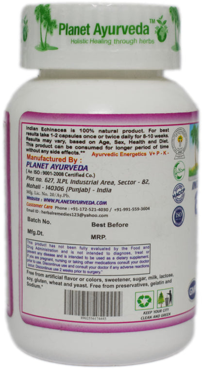 Planet Ayurveda Indian Echinacea Capsules - 60 Capsules | Removes Liver- image 2
