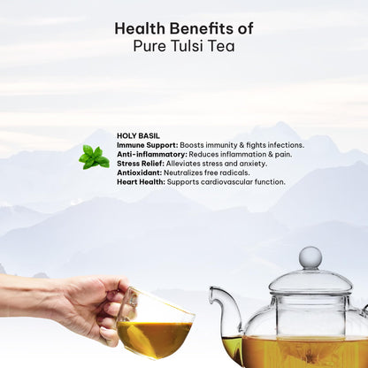 Pure Tulsi Tea 100 GMS | Holy Basil | Pure Herbal Tea |100 % Natural Whole Leaf | Caffeine Free | High in Anti-oxidant |