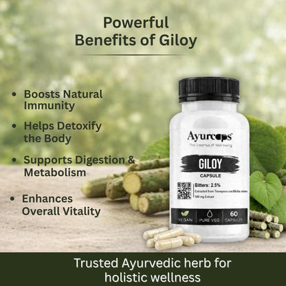Ayurcaps Giloy 500mg 60 Veg Capsules | Guduchi Ayurvedic Herbal Supplement | Supports Immunity, Detox & Daily Wellness | Natural Antioxidant & Metabolic Support | Vegan, No Preservatives