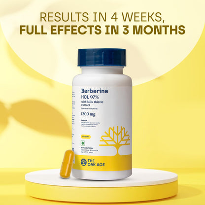 Premium Berberine Supplement with Milk Thistle – 97% Pure Berberine HCL from Himalayas – 3rd Party Lab Verified – Supports Healthy Blood Sugar, Metabolism & PCOS Wellness – 1200mg Per Serving