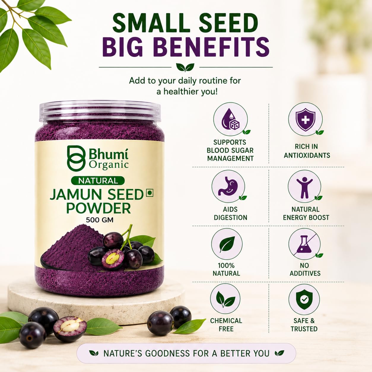 Bhumi Organic Ayurveda Jamun Seed Powder for Diabetes (500 gm) - Herbal Supplement
