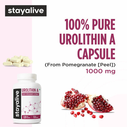 STAY ALIVE Urolithin A Supplement 1000mg, 120 Pills, Pure Mitochondrial Supplement from Pomegranate Extract, Non-GMO and Gluten-Free Urolithin A+ Capsules for Men and Women