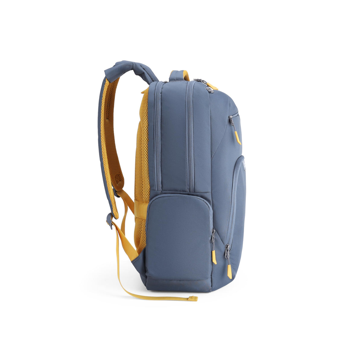 American Tourister Brett 4.0 | 32.5 Ltrs | 2 Compartments | Bottle Pocket | Ergonomic Padded Back Panel & Shoulder Straps | Laptop Backpack | 1 Year International Warranty | Graphite