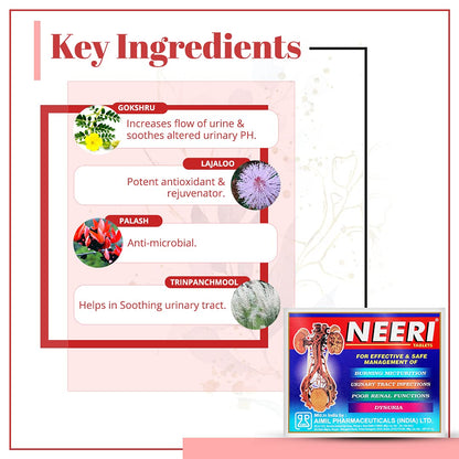 AIMIL NEERI Tablet | Useful in Urinary Tract Infections (UTI) | 30 Tabl- image 2