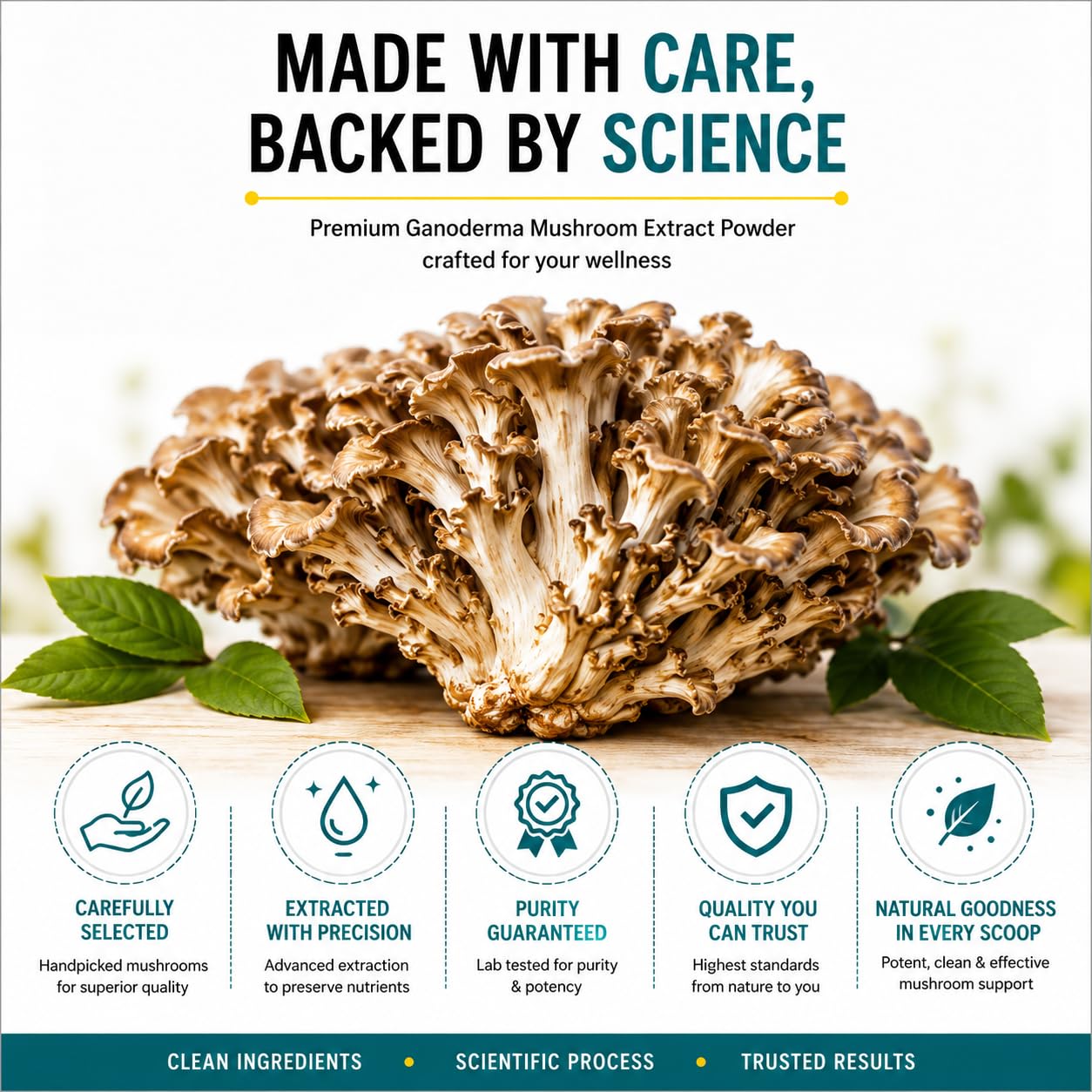 Maitake Mushroom Extract Powder, 60g