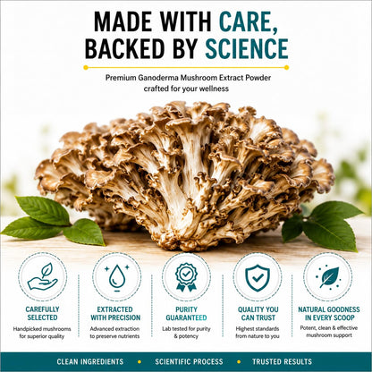 Maitake Mushroom Extract Powder, 60g