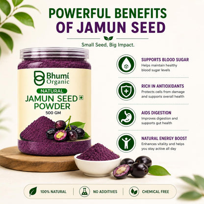 Bhumi Organic Ayurveda Jamun Seed Powder for Diabetes (500 gm) - Herbal Supplement