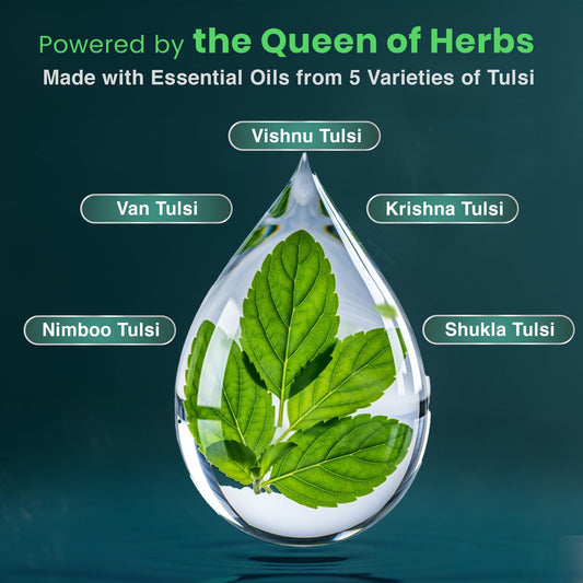 BabyOrgano PanchTulsi Drops Contains Extracts of 5 Rare Tulsi | Boosts Immunity | Cough And Cold Relief | 100% Ayurvedic | Builds Respiratory Health
